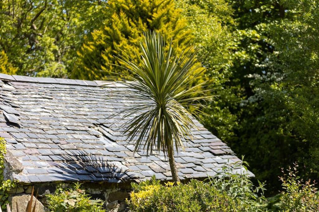 Plas Newydd With Swimming Pool, Fire Pit, And Log Fires Villa Rhiw Eksteriør billede